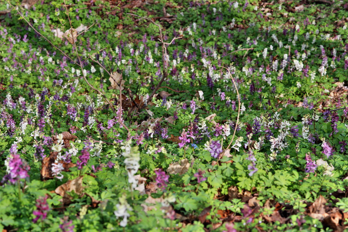 2014_03_21_00038553p_Bildgr��e �ndern