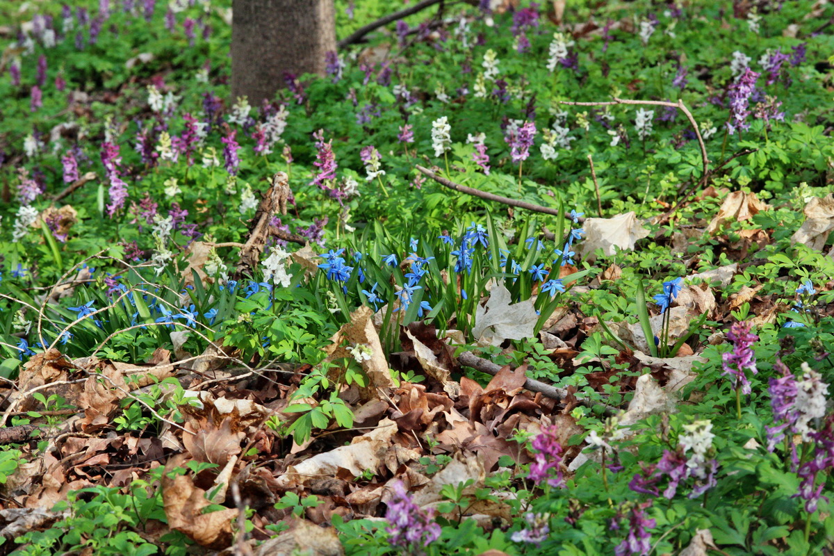 2014_03_21_00038555p_Bildgr��e �ndern