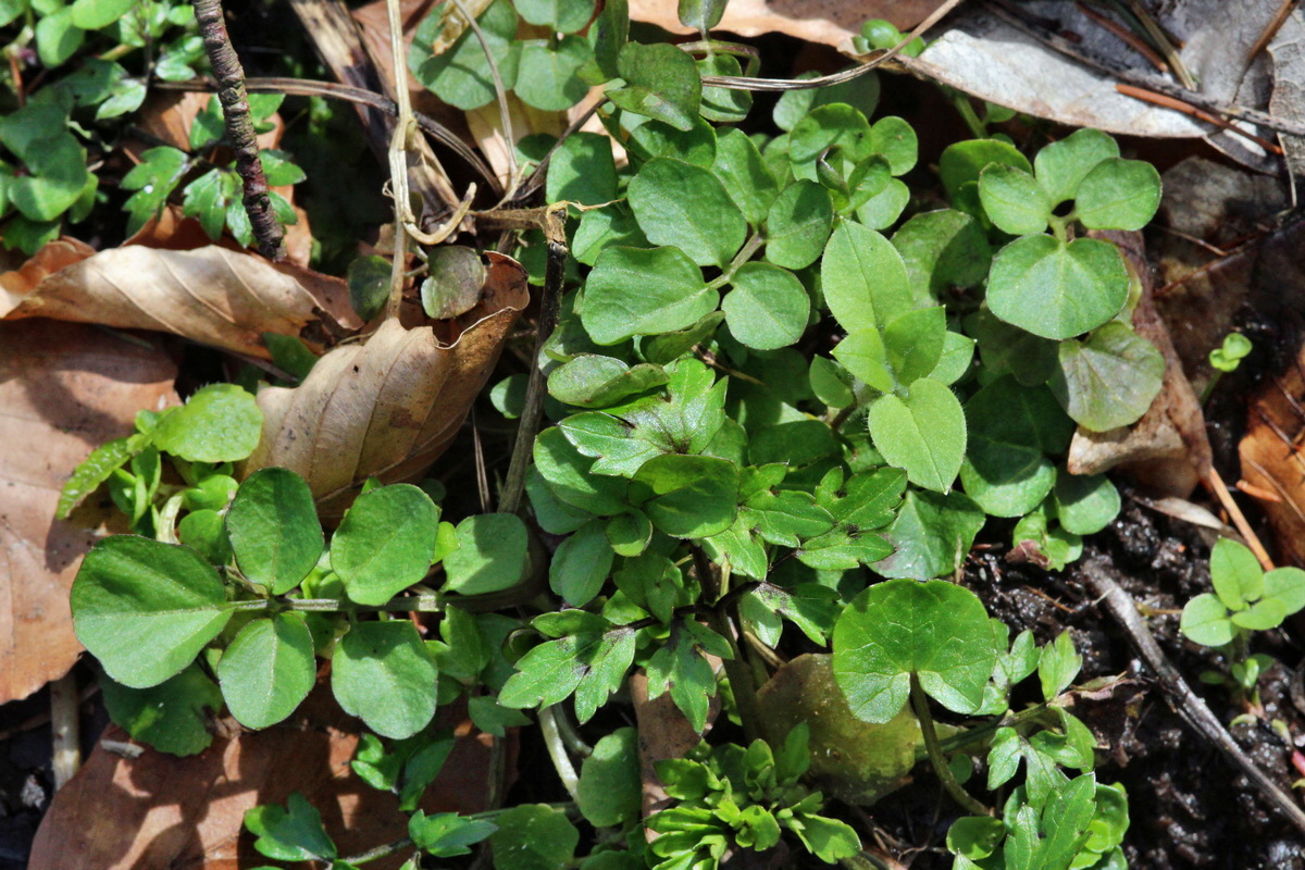 2014_03_21_00038563p_Bildgr��e �ndern