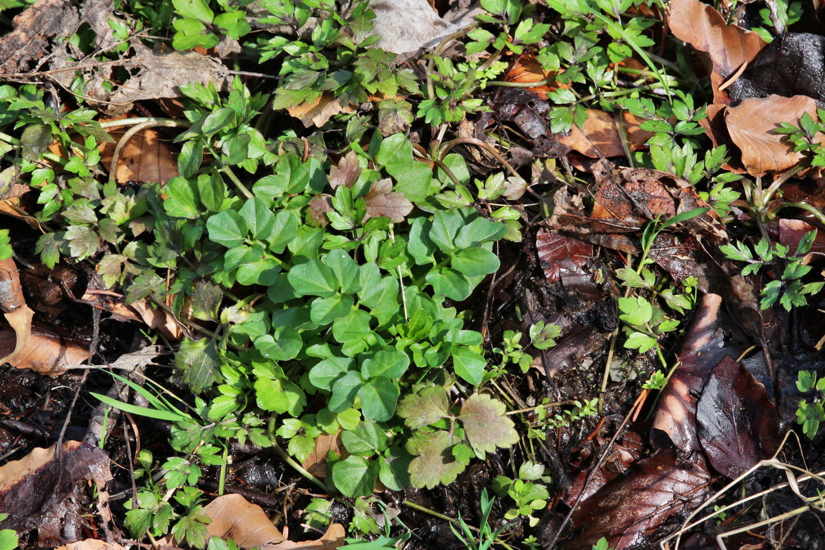 2014_03_21_00038566p_Bildgr��e �ndern