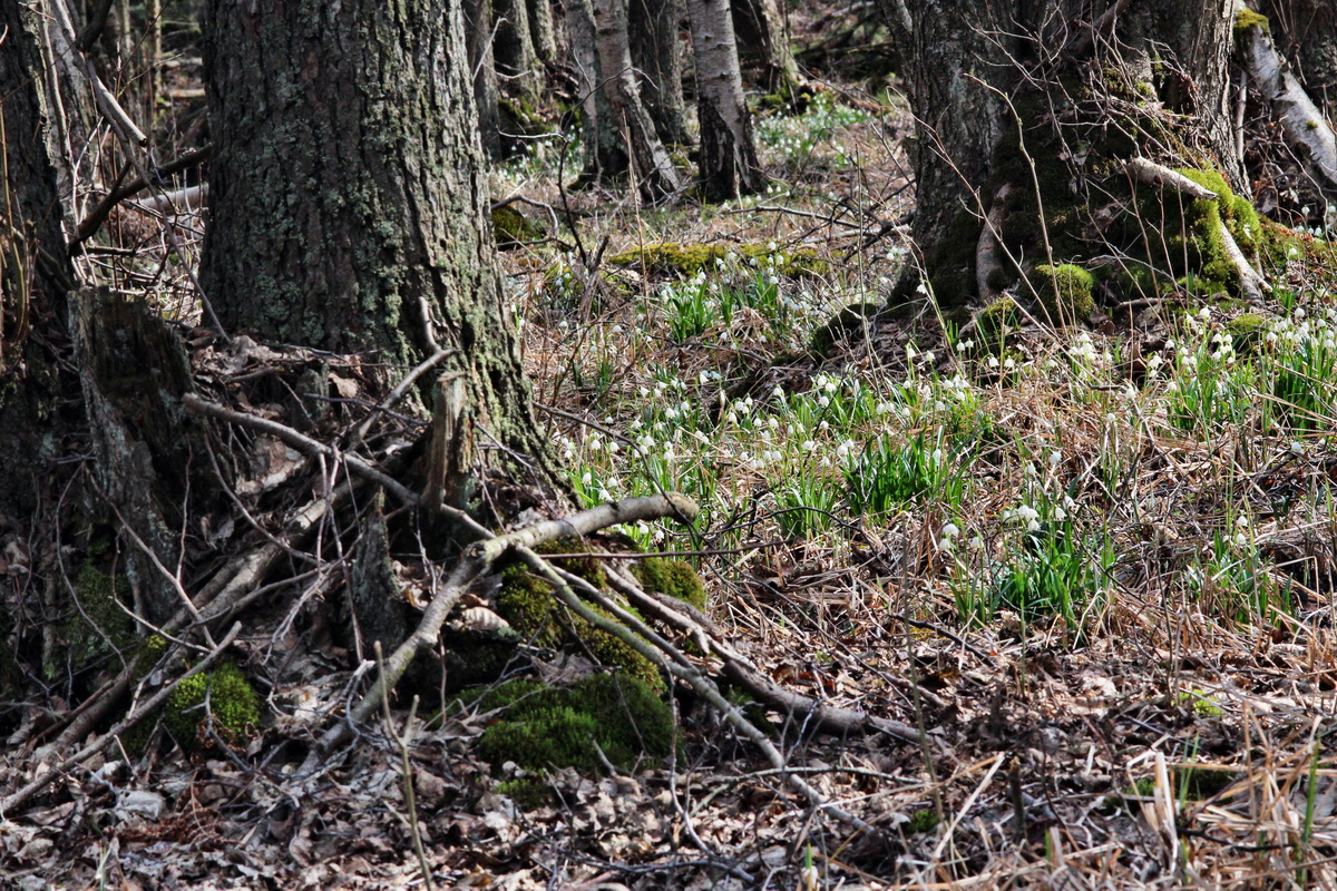 2014_03_21_00038571p_Bildgr��e �ndern