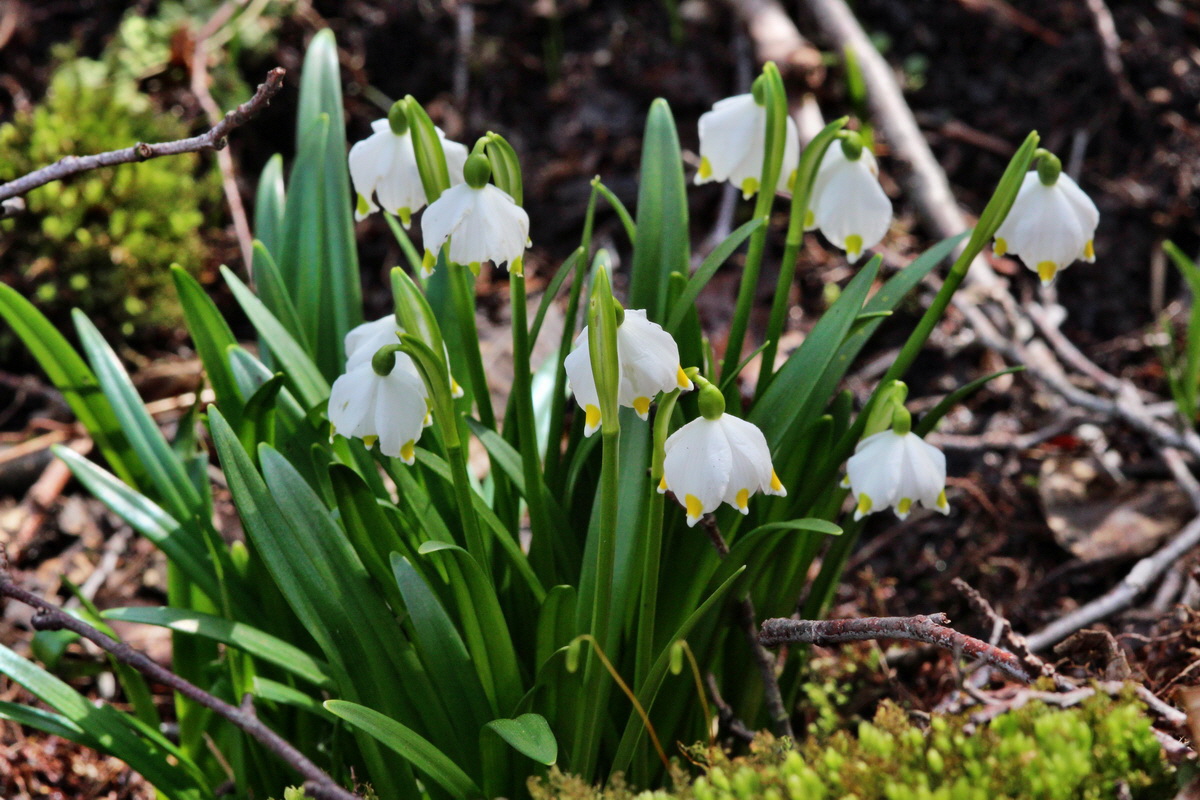 2014_03_21_00038586p_Bildgr��e �ndern