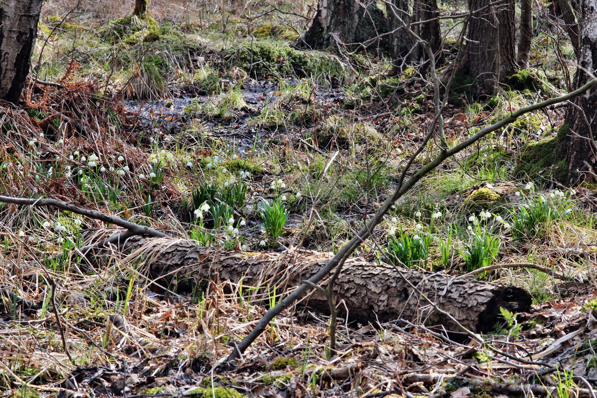 2014_03_21_00038593p_Bildgr��e �ndern