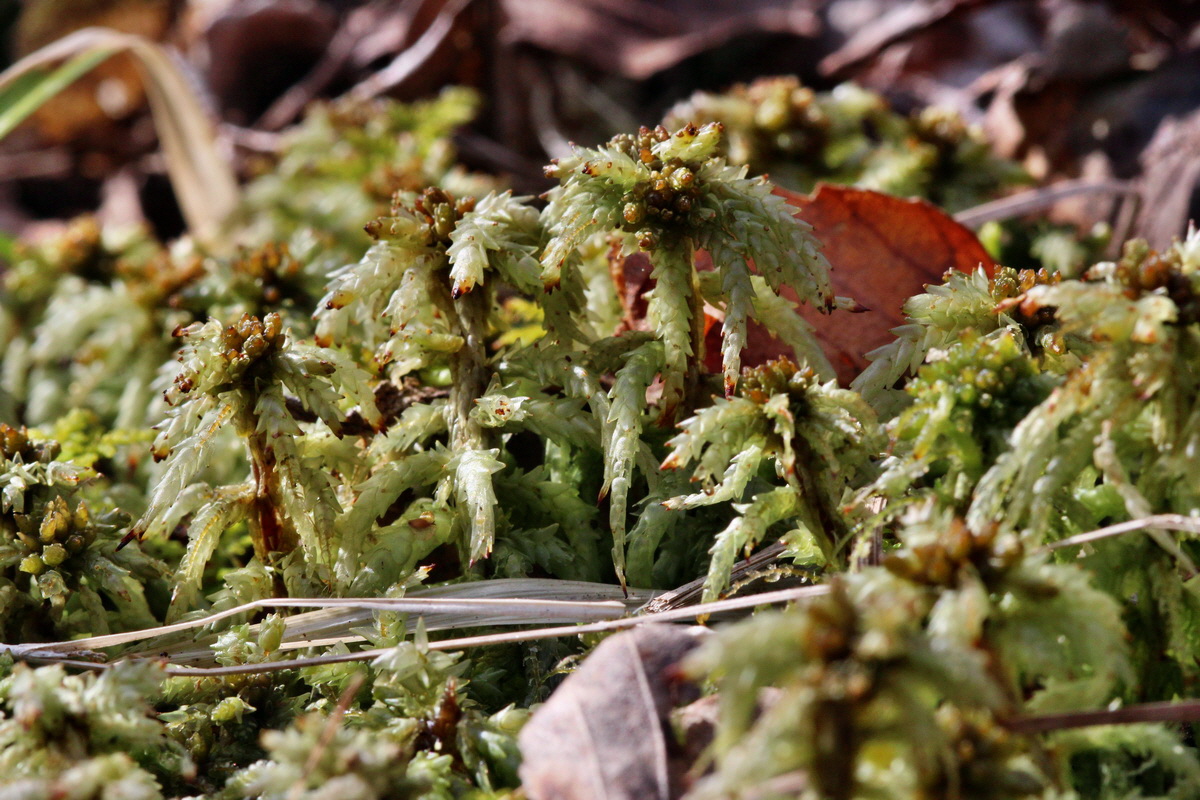 2014_03_21_00038602p_Bildgr��e �ndern