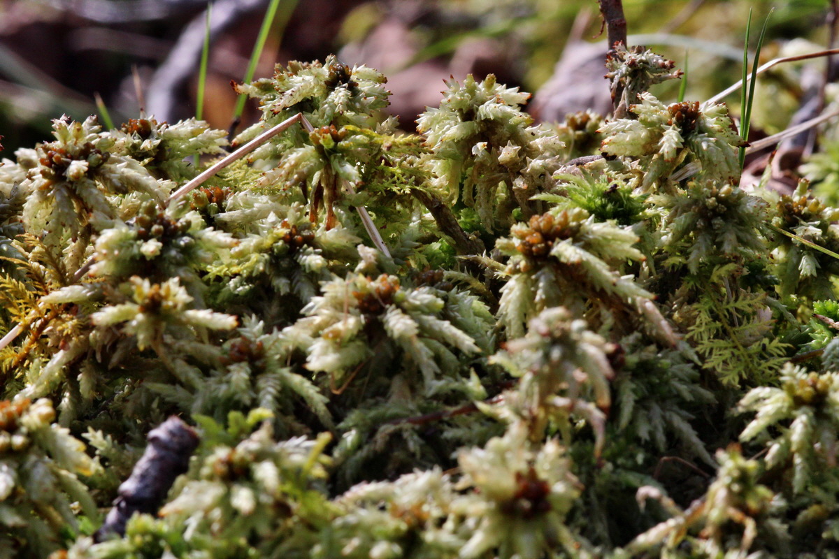 2014_03_21_00038608p_Bildgr��e �ndern