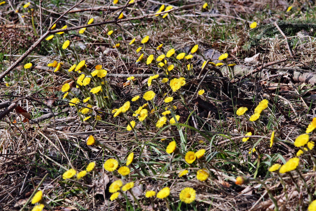 2014_03_21_00038619p_Bildgr��e �ndern