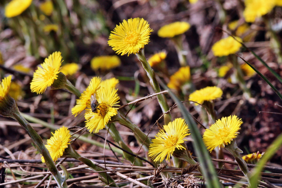 2014_03_21_00038625p_Bildgr��e �ndern