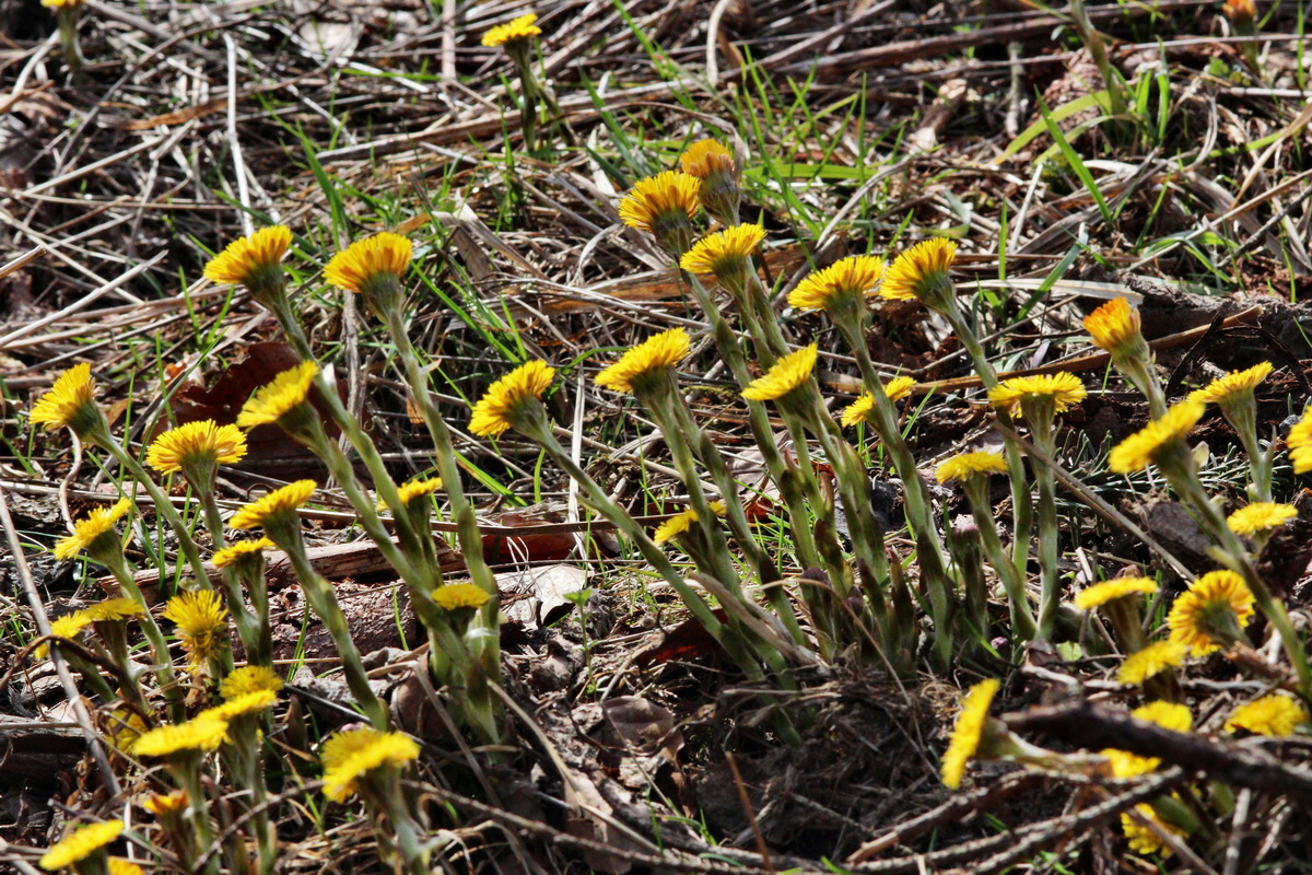 2014_03_21_00038630p_Bildgr��e �ndern