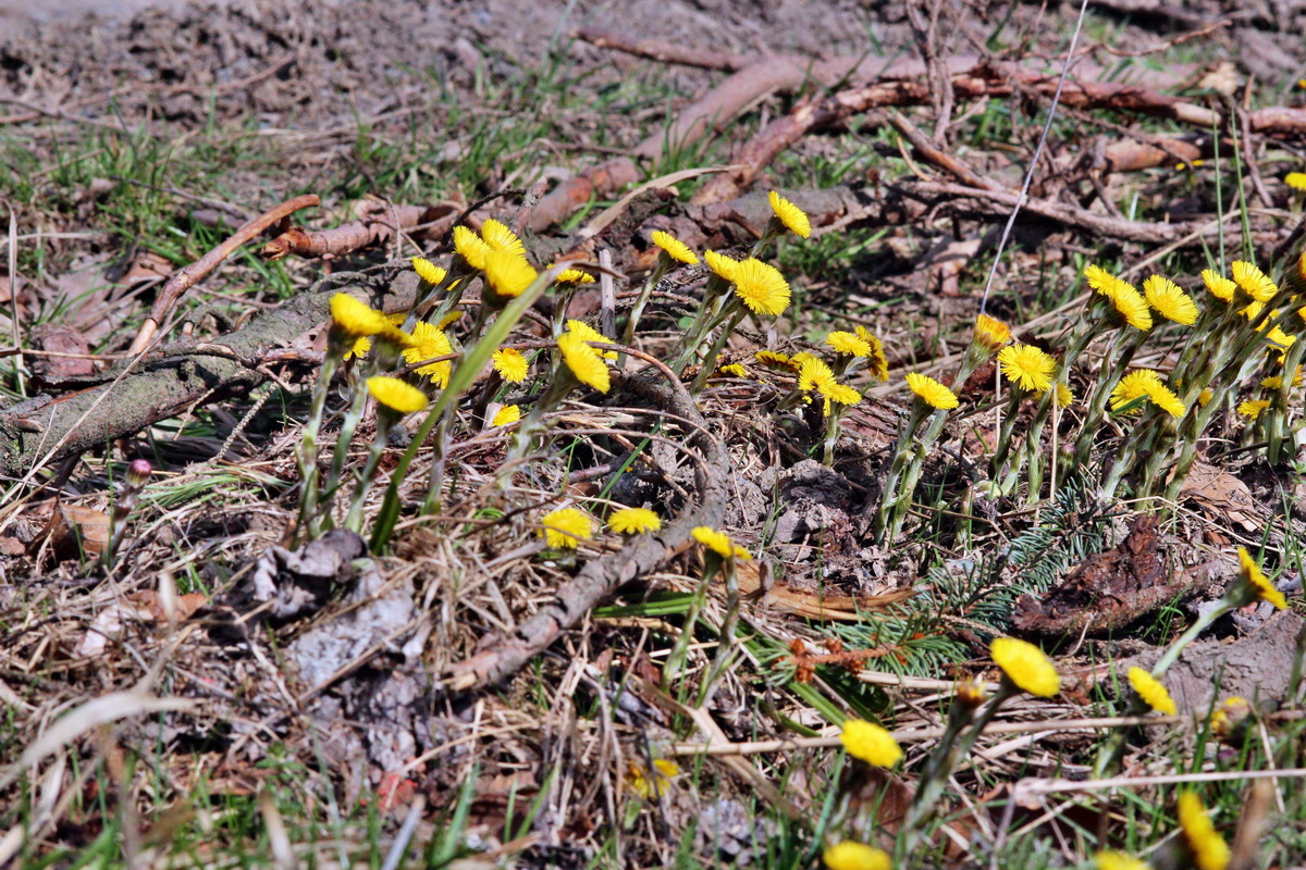 2014_03_21_00038633p_Bildgr��e �ndern