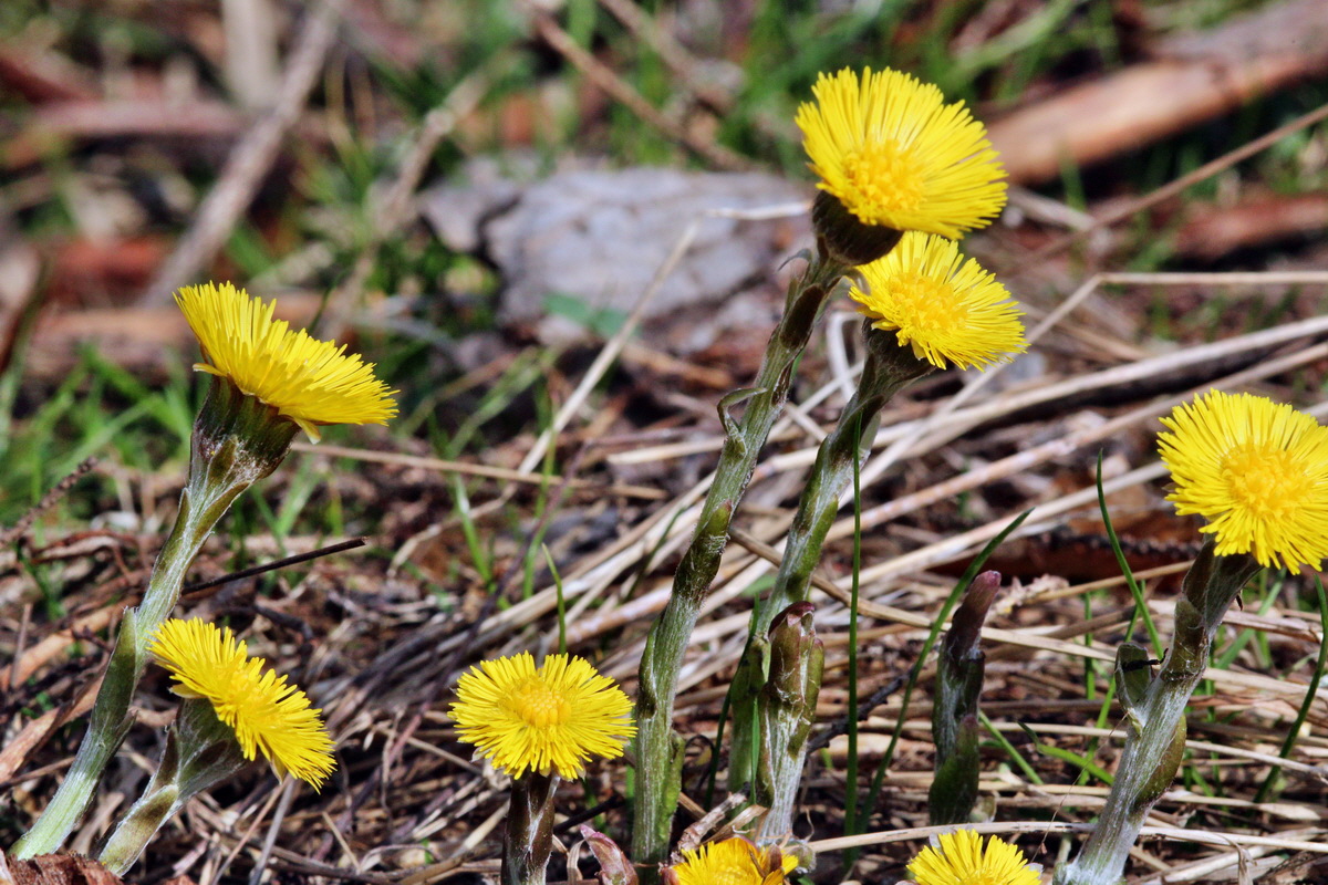 2014_03_21_00038636p_Bildgr��e �ndern