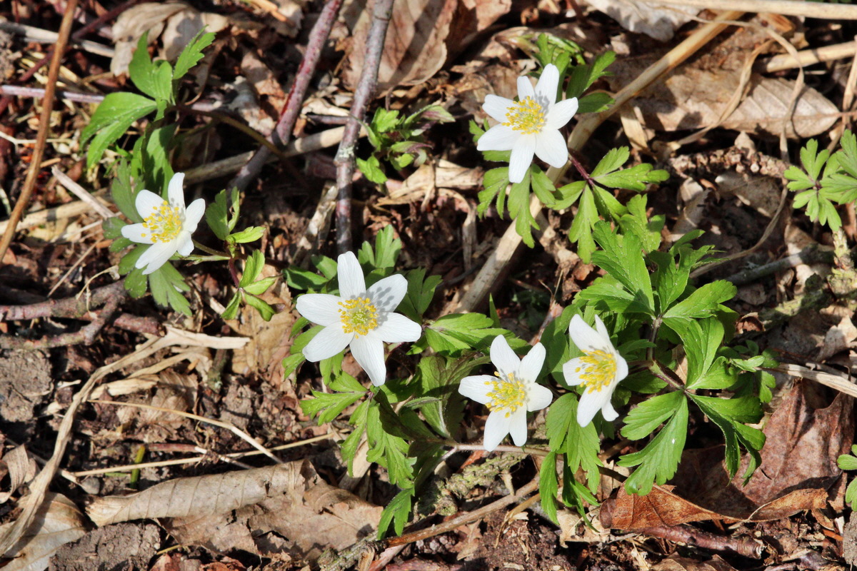 2014_03_21_00038639p_Bildgr��e �ndern