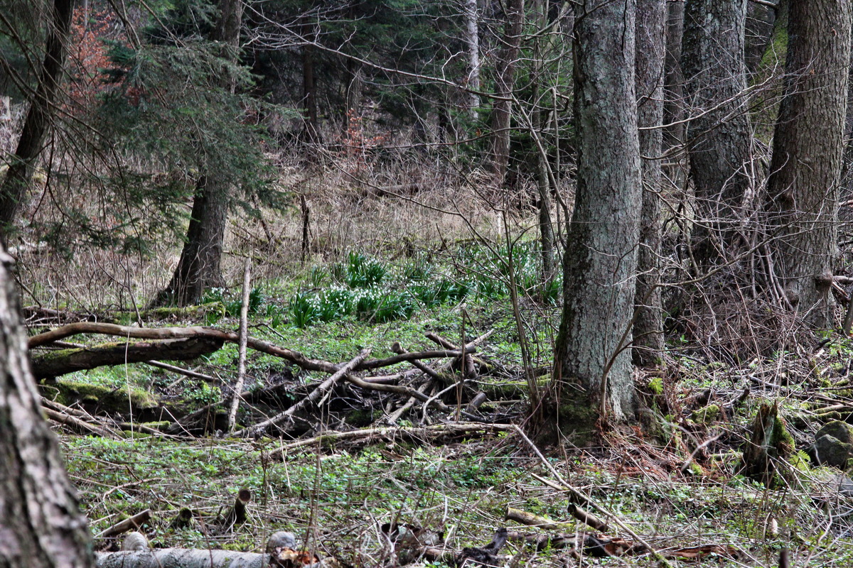 2014_03_21_00038645p_Bildgr��e �ndern