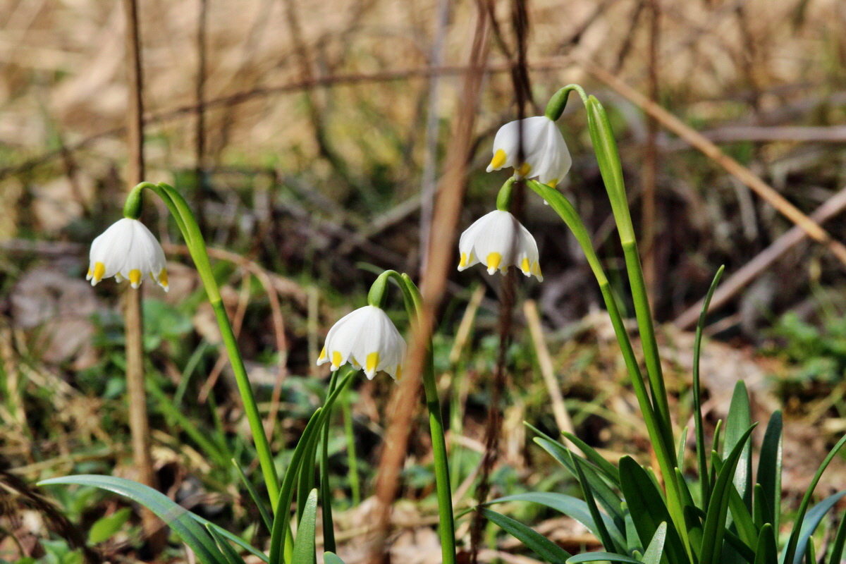 2014_03_21_00038654p_Bildgr��e �ndern