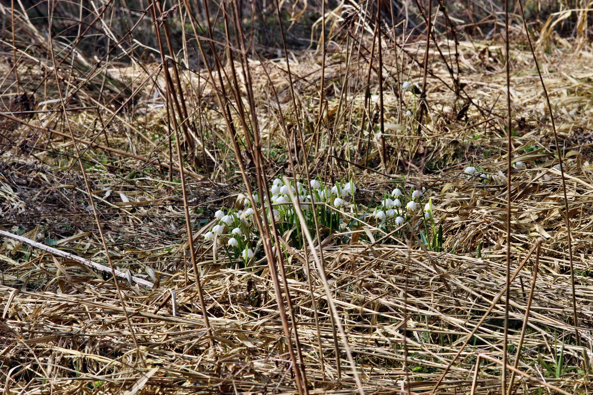 2014_03_21_00038657p_Bildgr��e �ndern