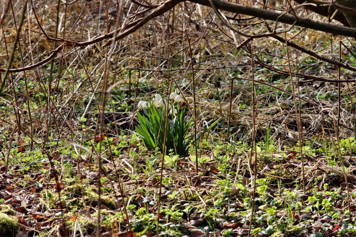 2014_03_21_00038663p_Bildgr��e �ndern