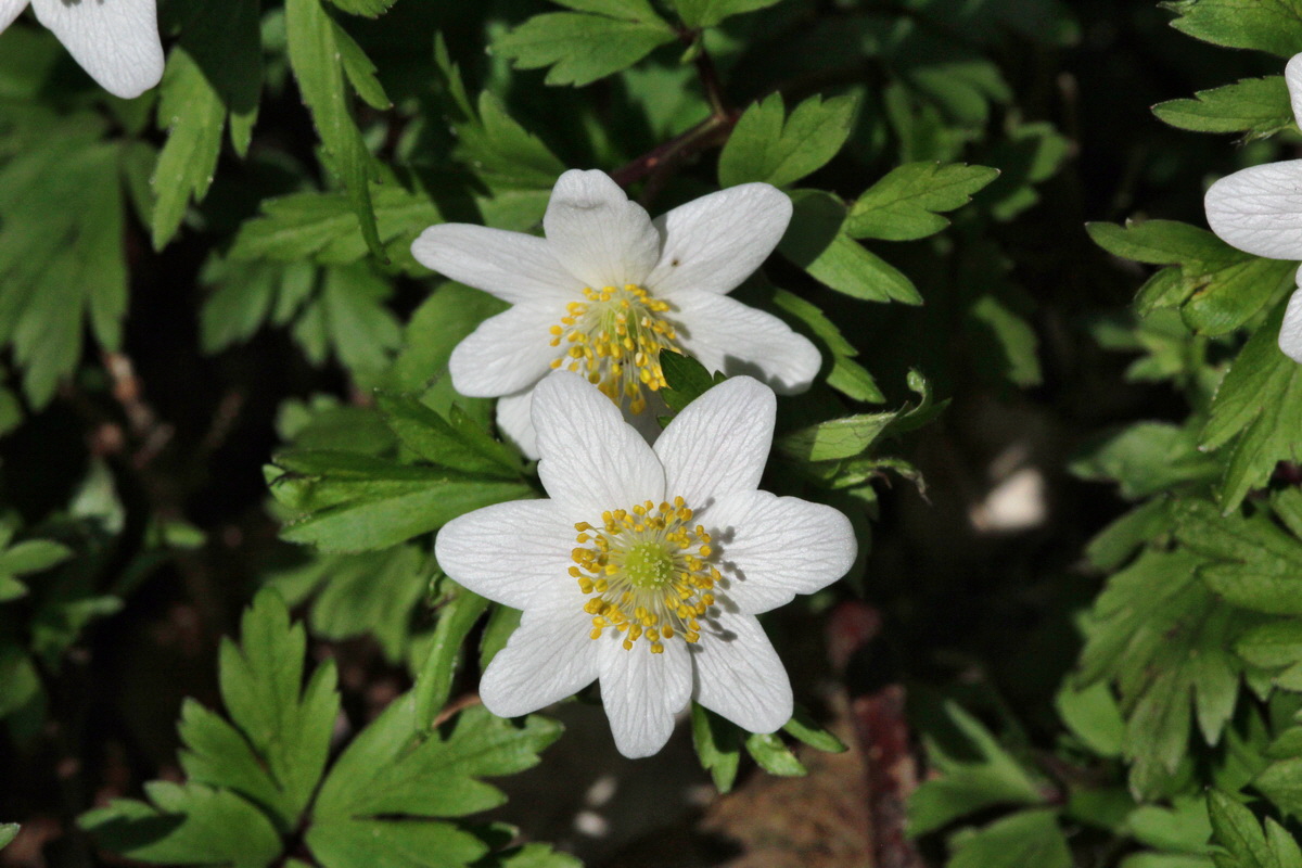 2014_03_21_00038669p_Bildgr��e �ndern