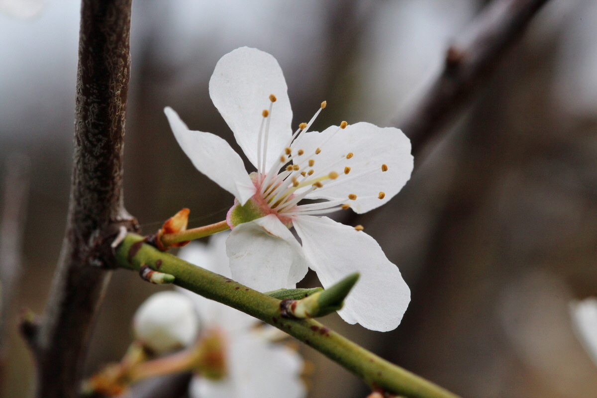 2014_03_25_00038684p_Bildgr��e �ndern