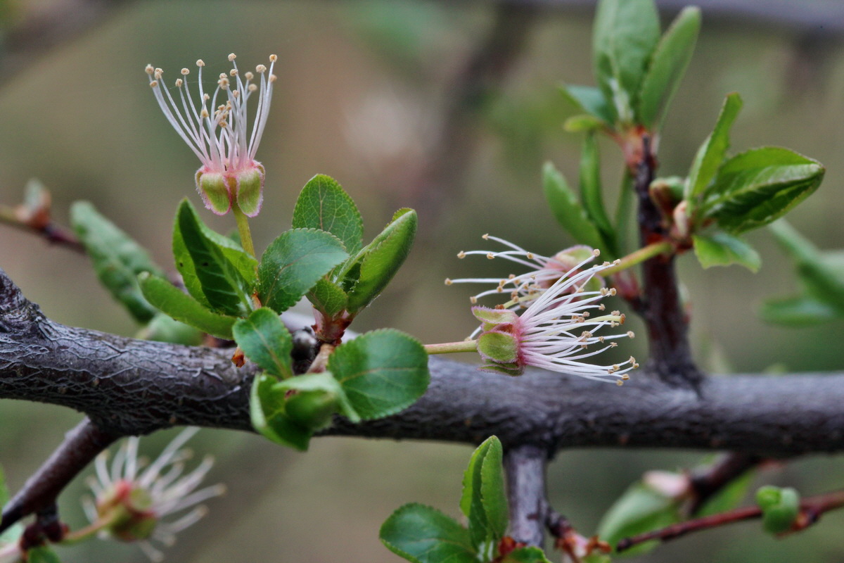 2014_03_25_00038689p_Bildgr��e �ndern