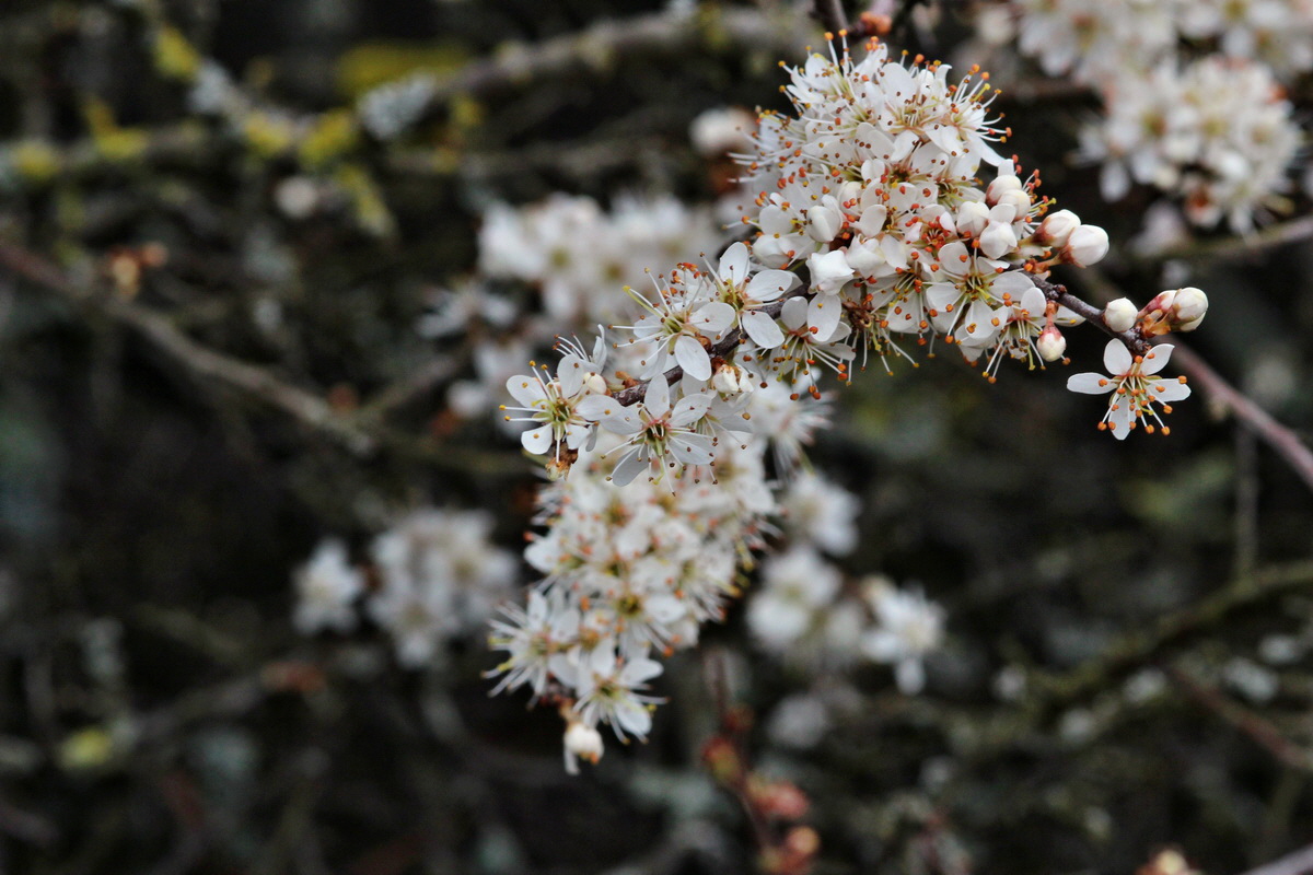 2014_03_25_00038695p_Bildgr��e �ndern