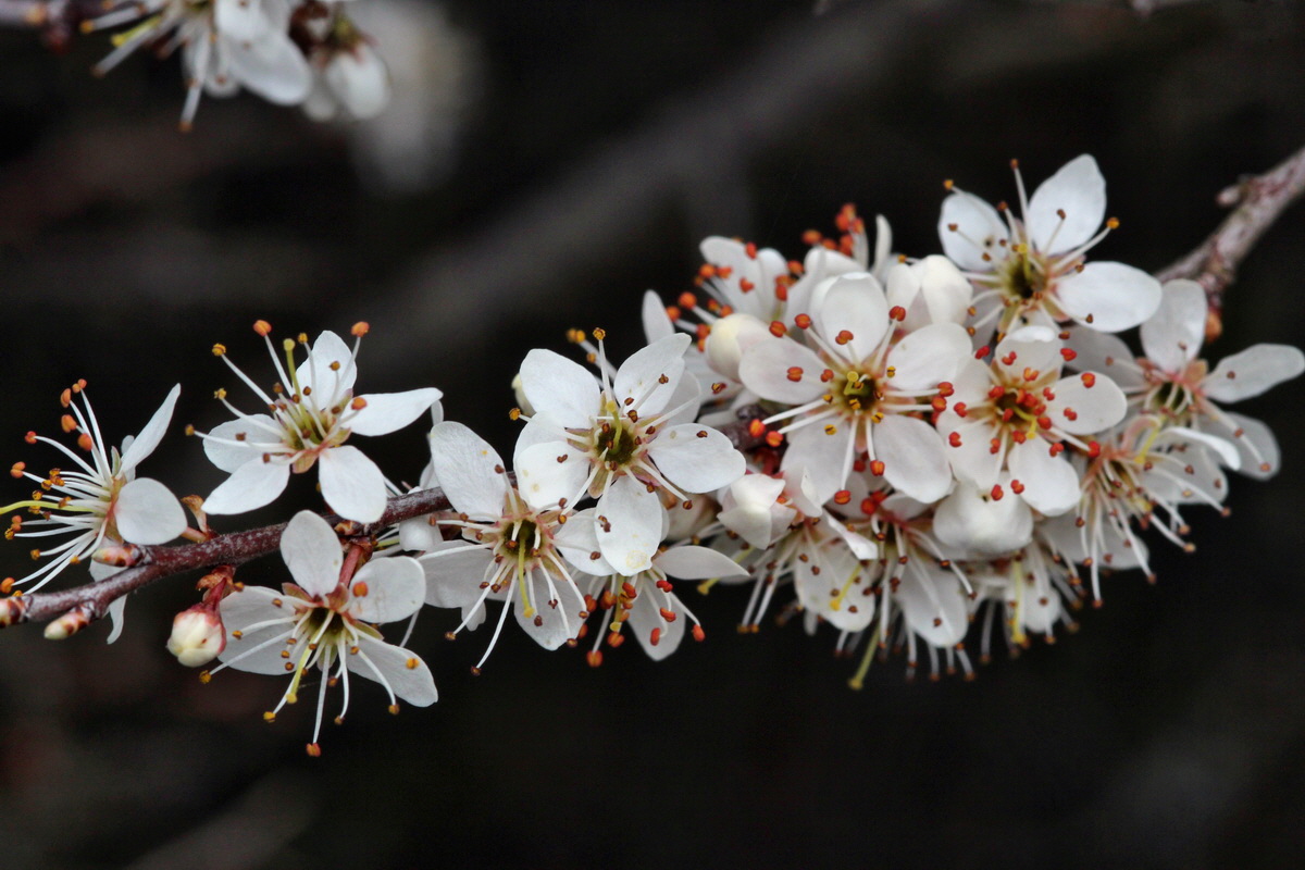 2014_03_25_00038701p_Bildgr��e �ndern