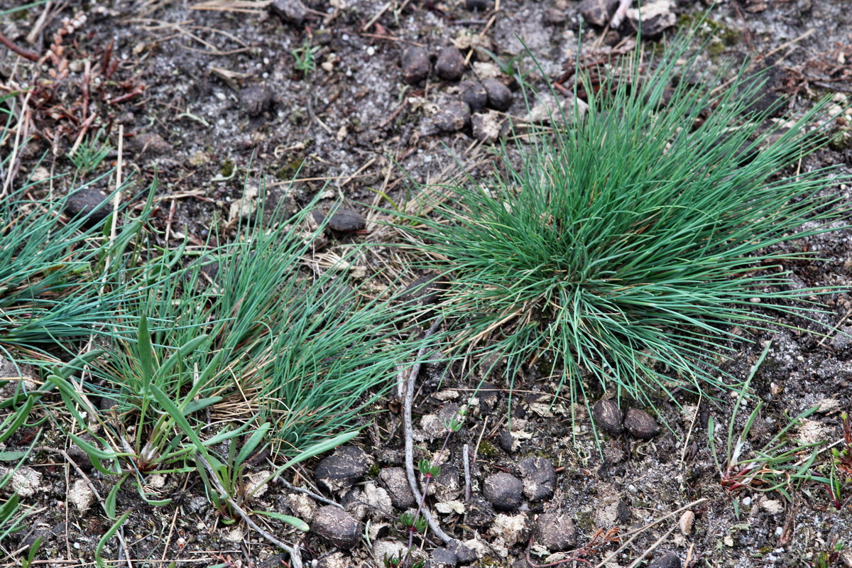 2014_03_25_00038707p_Bildgr��e �ndern