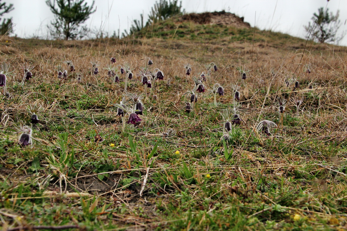 2014_03_25_00038714p_Bildgr��e �ndern