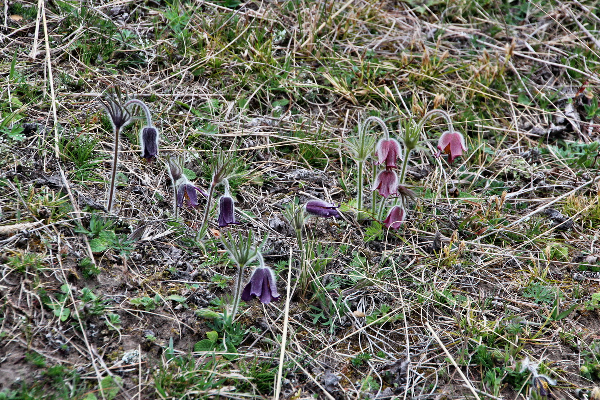 2014_03_25_00038721p_Bildgr��e �ndern