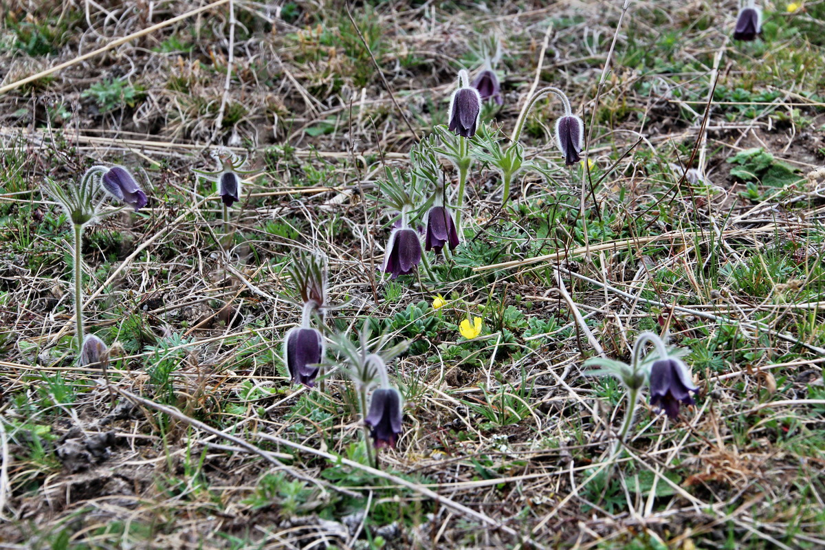 2014_03_25_00038723p_Bildgr��e �ndern