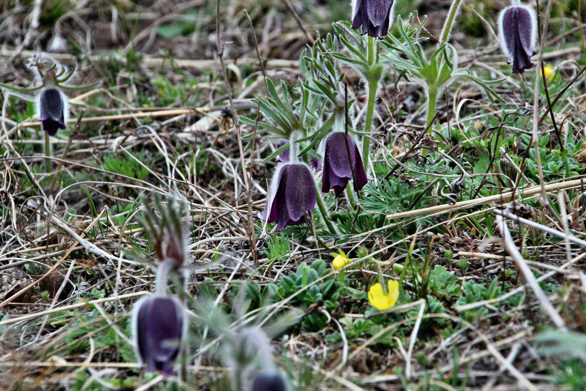 2014_03_25_00038727p_Bildgr��e �ndern