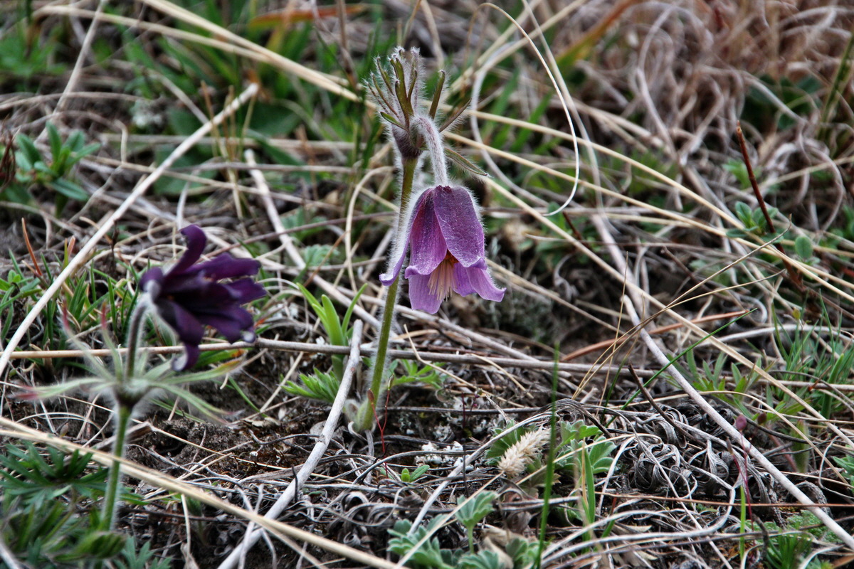 2014_03_25_00038755p_Bildgr��e �ndern