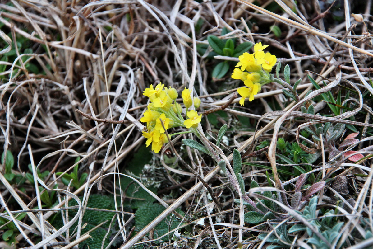 2014_03_25_00038766p_Bildgr��e �ndern