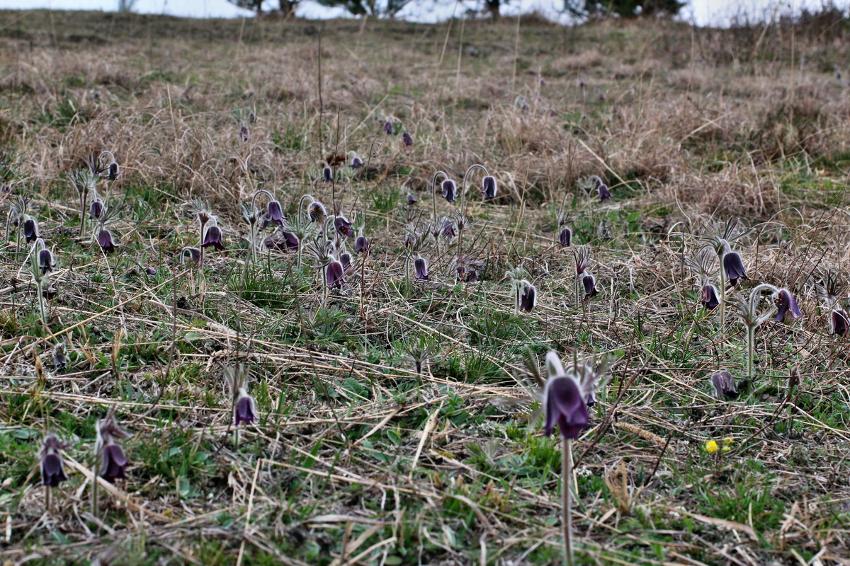 2014_03_25_00038794p_Bildgr��e �ndern