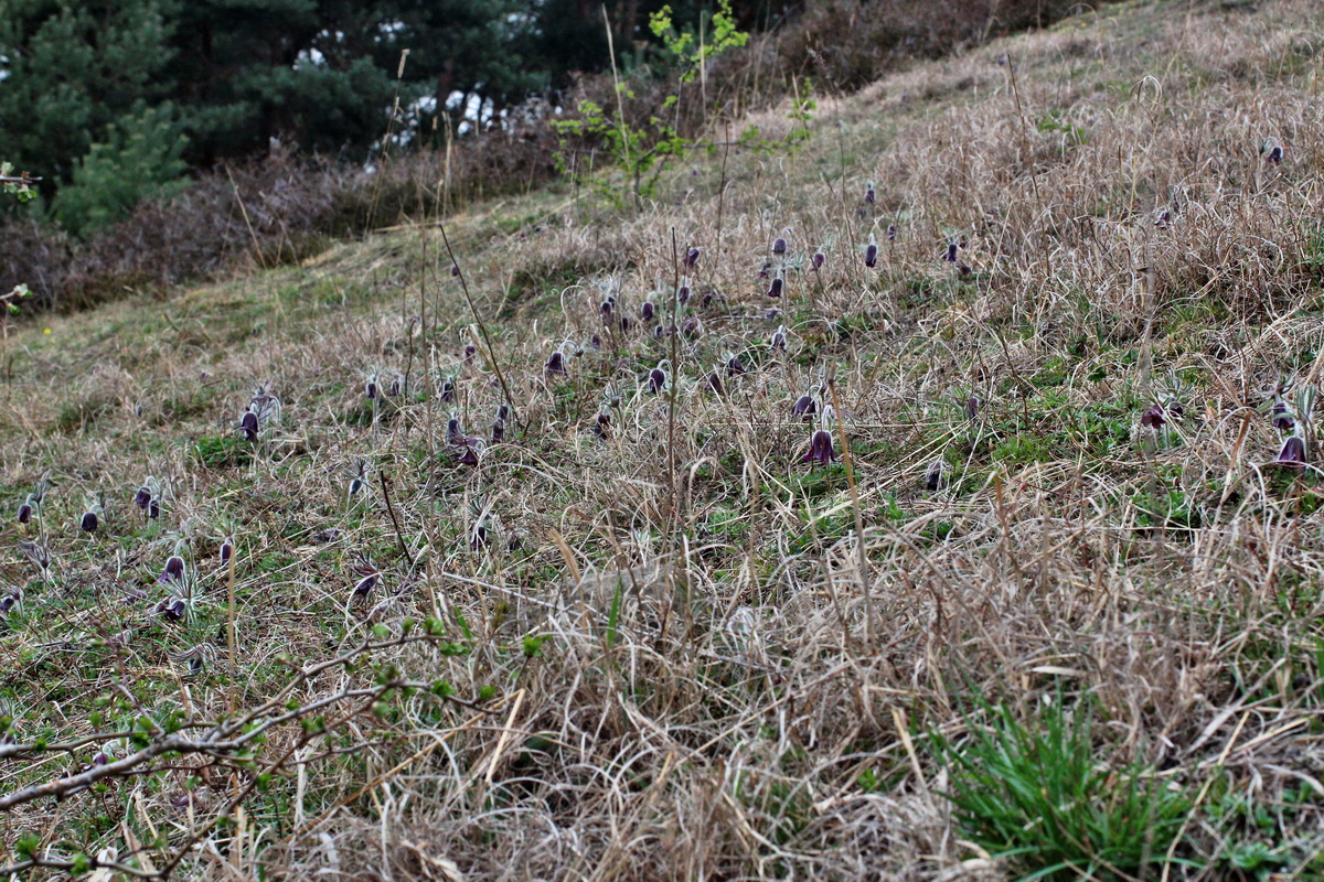 2014_03_25_00038799p_Bildgr��e �ndern