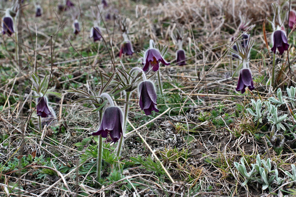 2014_03_25_00038803p_Bildgr��e �ndern