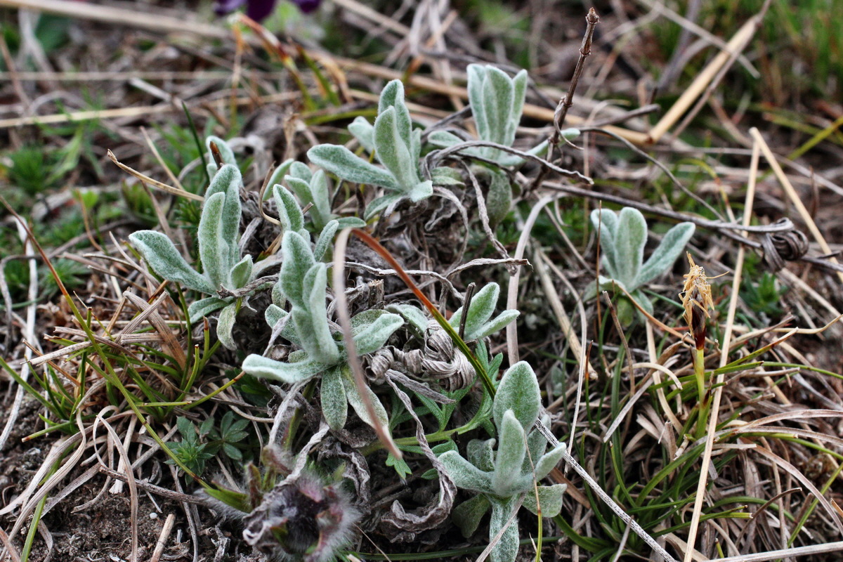 2014_03_25_00038804p_Bildgr��e �ndern