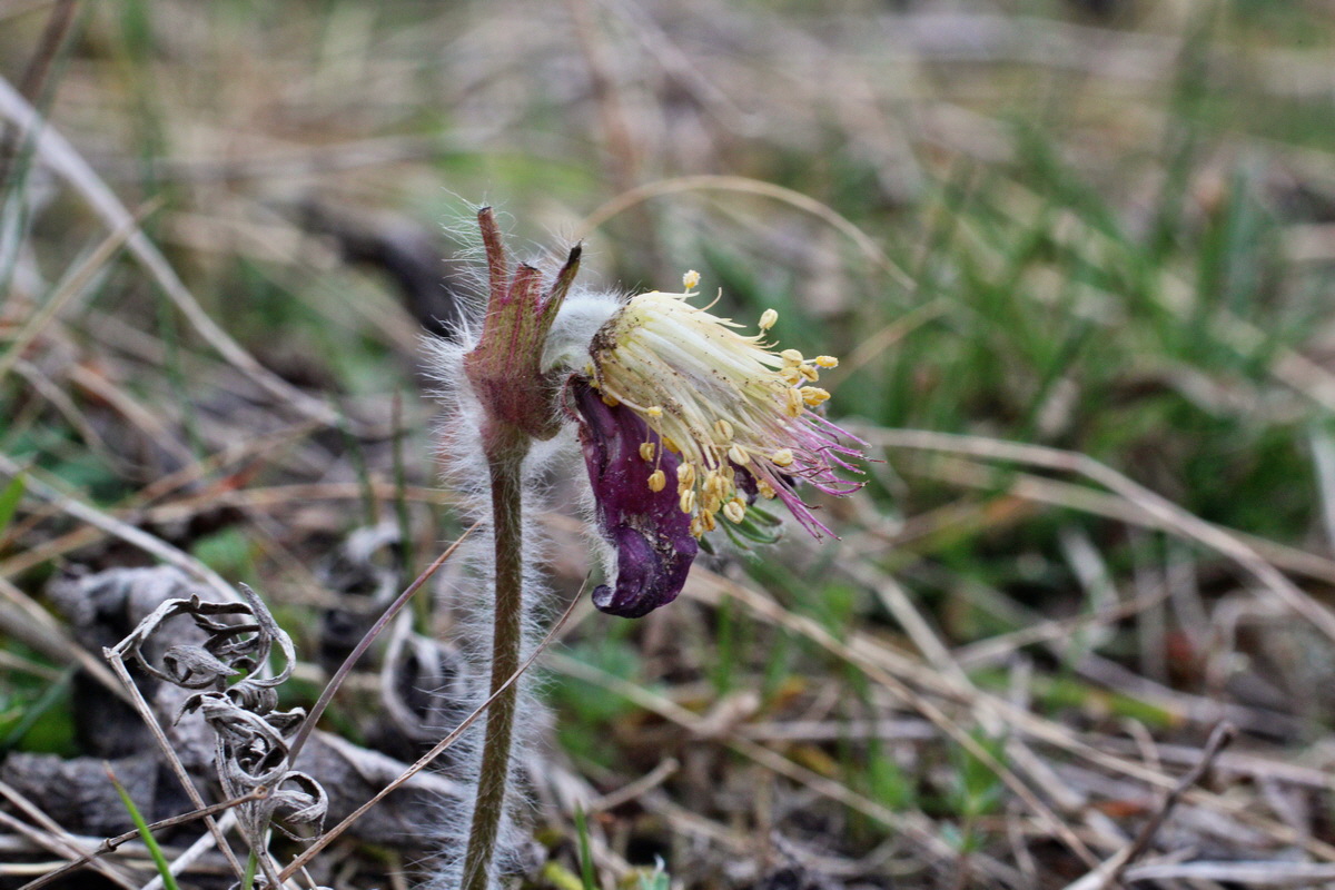 2014_03_25_00038816p_Bildgr��e �ndern