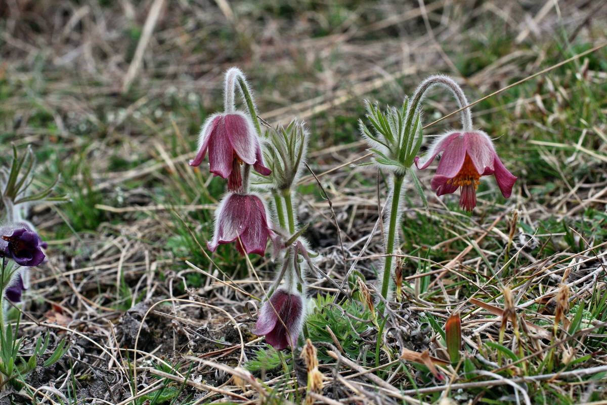 2014_03_25_00038819p_Bildgr��e �ndern