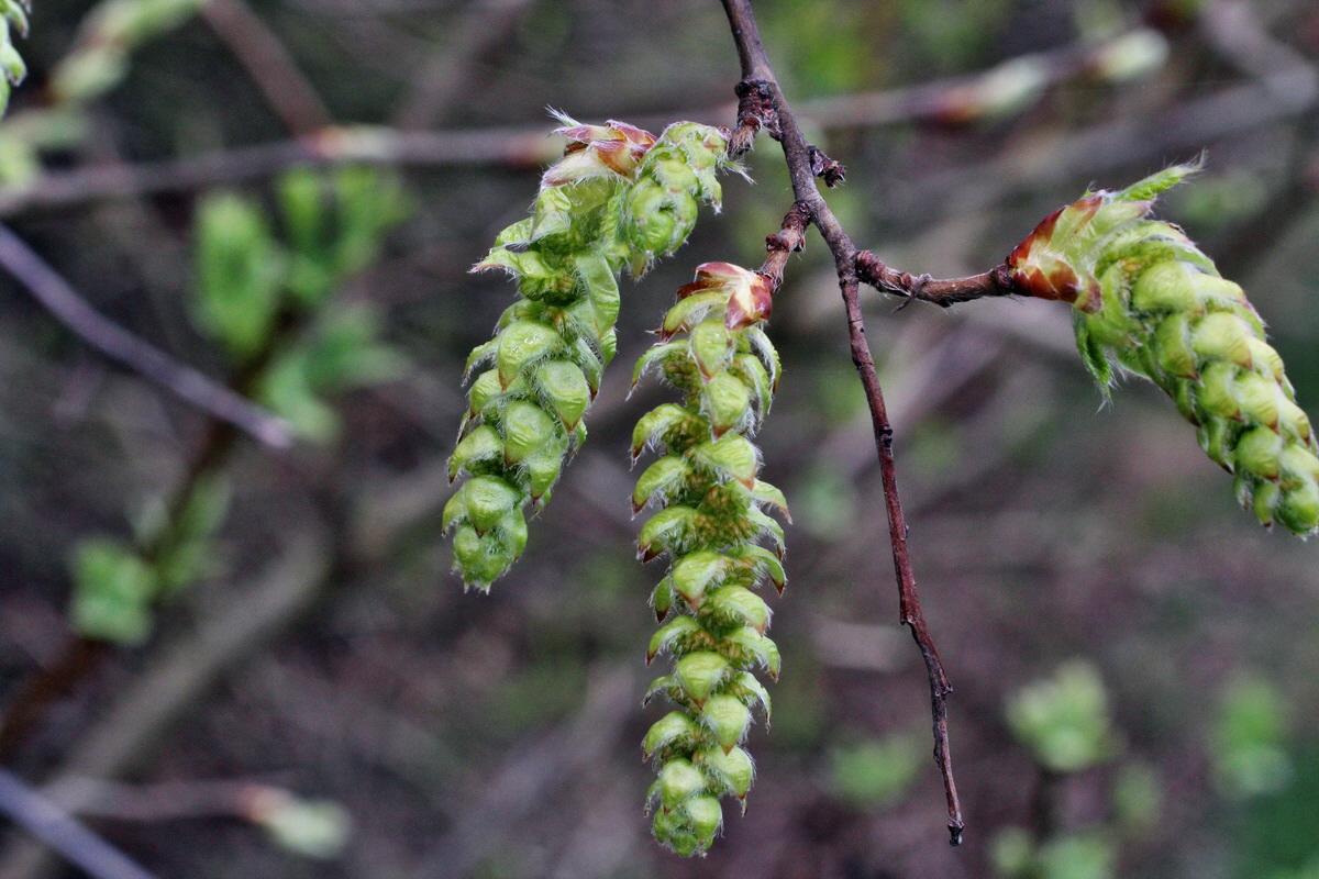 2014_03_25_00038849p_Bildgr��e �ndern