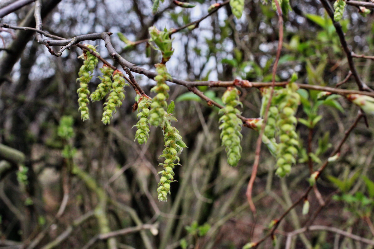 2014_03_25_00038853p_Bildgr��e �ndern