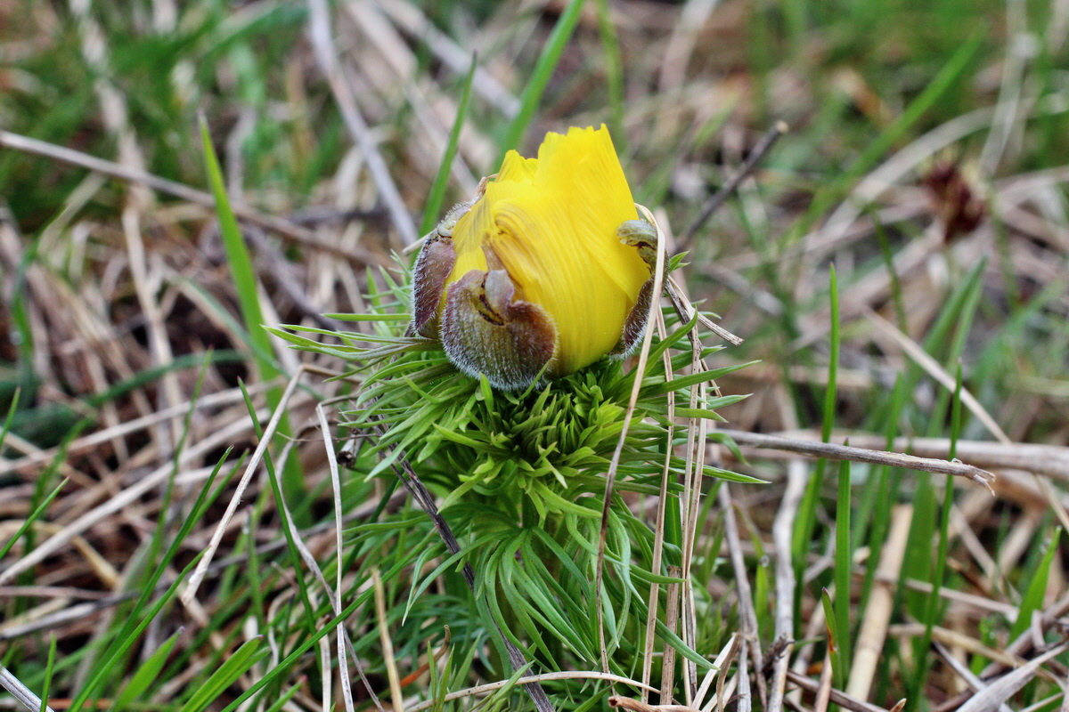 2014_03_25_00038863p_Bildgr��e �ndern