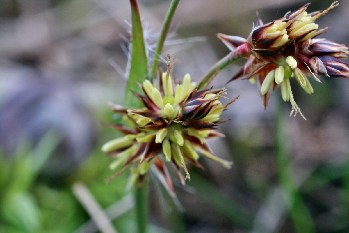 2014_03_25_00038865p_Bildgr��e �ndern