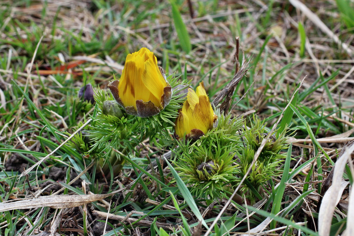 2014_03_25_00038867p_Bildgr��e �ndern