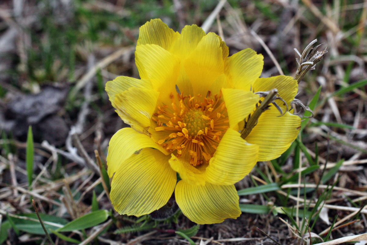 2014_03_25_00038875p_Bildgr��e �ndern