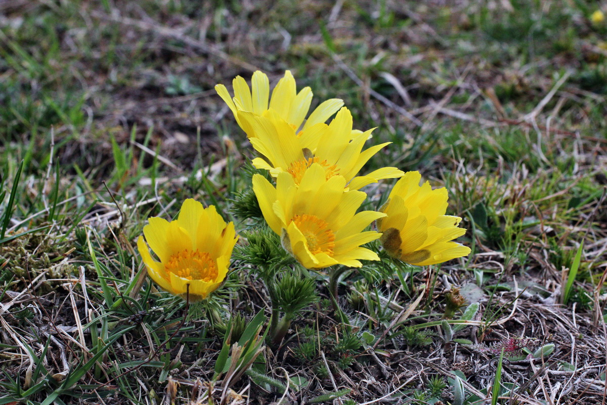 2014_03_25_00038891p_Bildgr��e �ndern