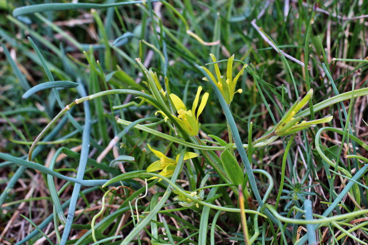 2014_03_26_00038904p_Bildgr��e �ndern