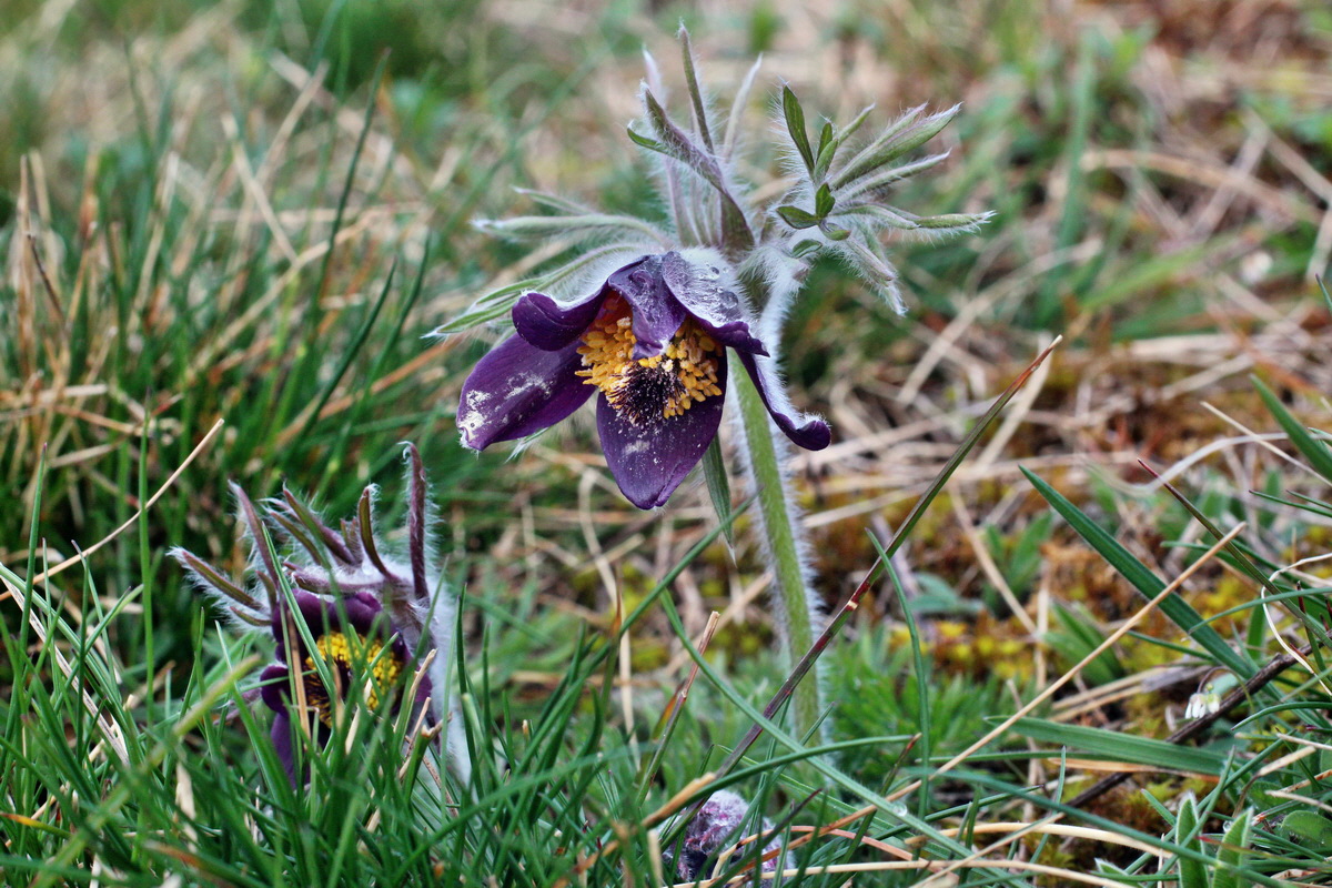 2014_03_26_00038907p_Bildgr��e �ndern