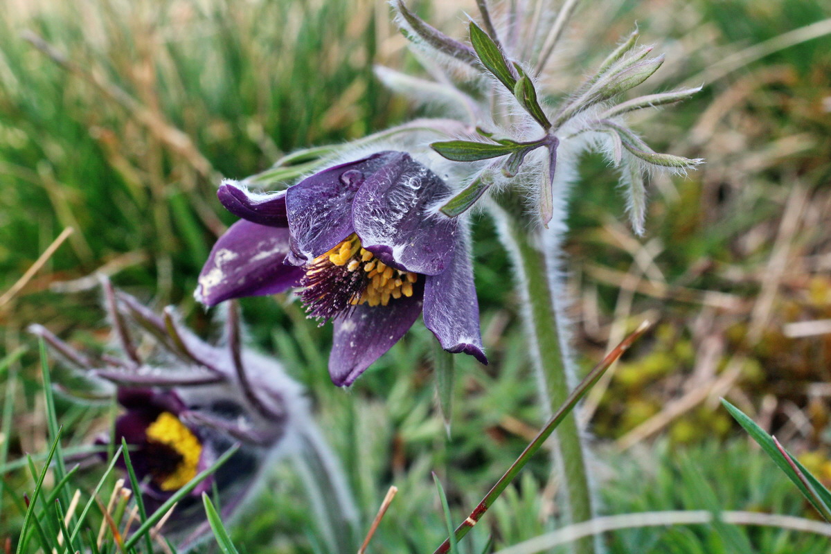 2014_03_26_00038909p_Bildgr��e �ndern