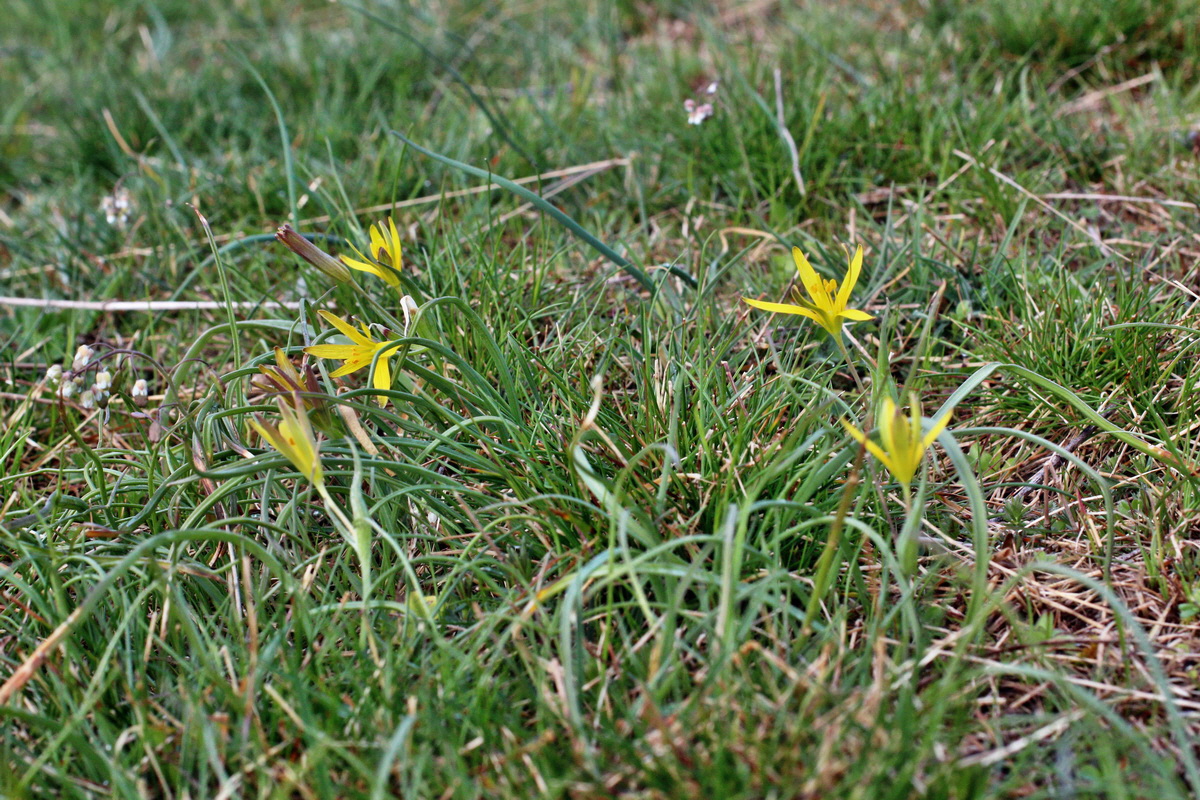 2014_03_26_00038923p_Bildgr��e �ndern