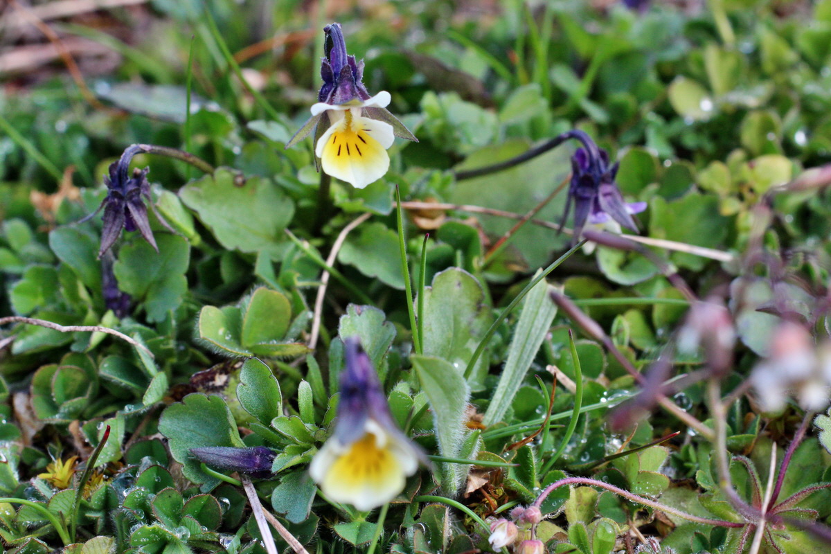 2014_03_26_00038929p_Bildgr��e �ndern