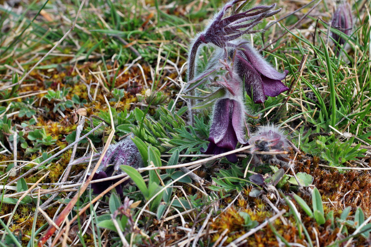 2014_03_26_00038931p_Bildgr��e �ndern